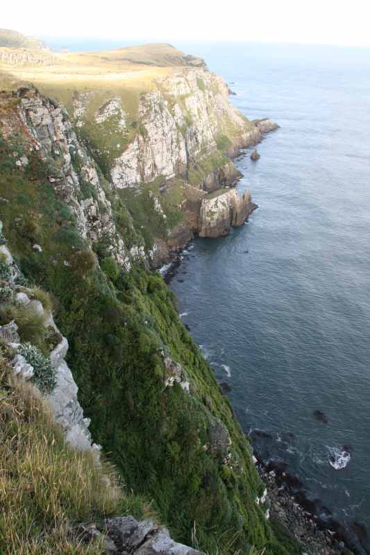 Nieuw-Zeeland 2011 - 1859